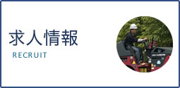 求人情報